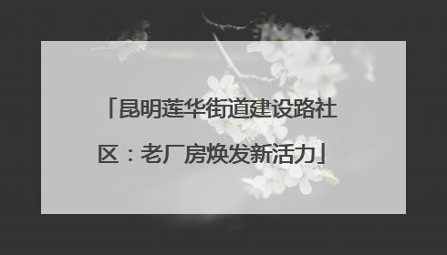 昆明莲华街道建设路社区：老厂房焕发新活力